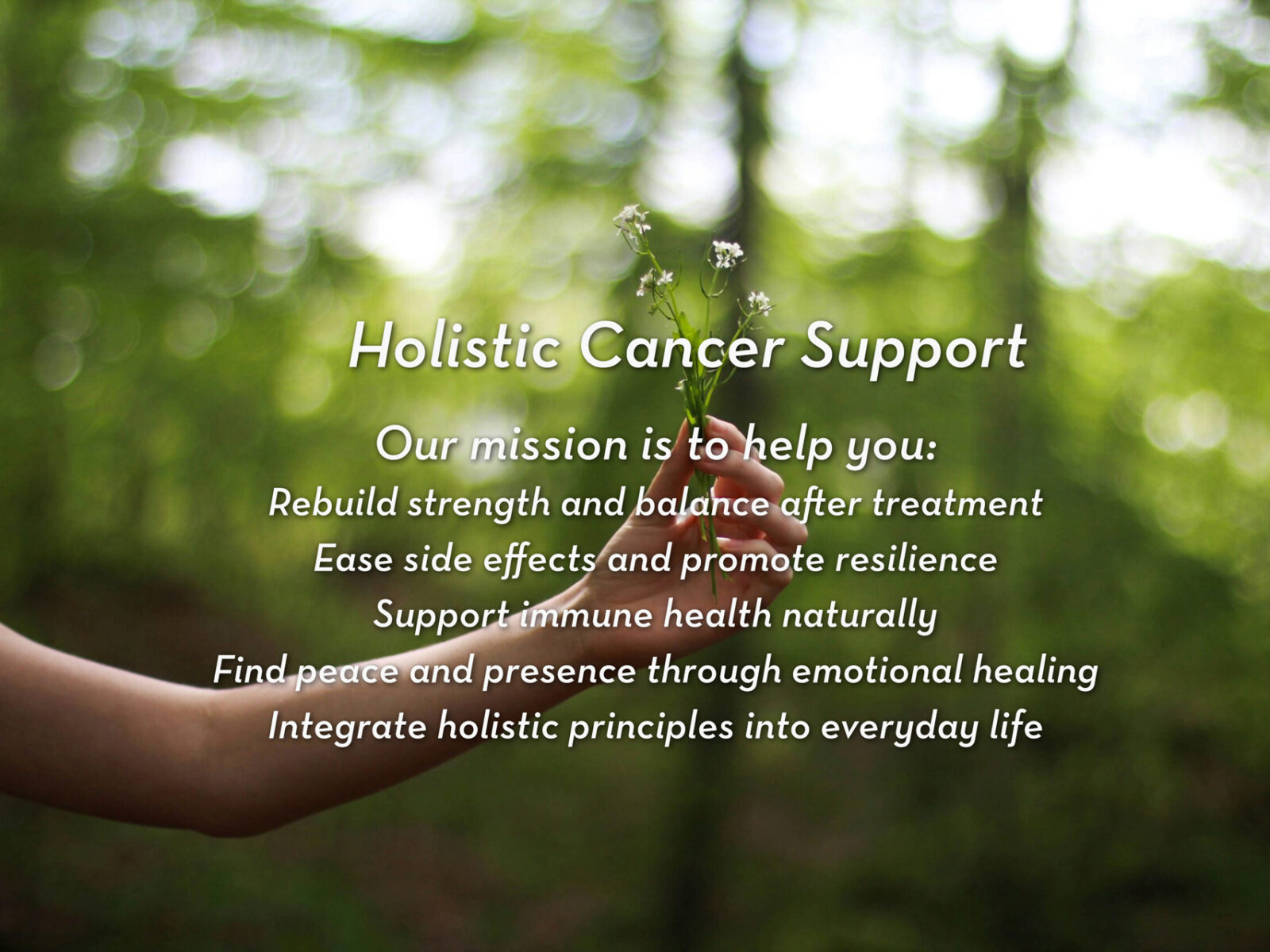 A hand gently holding small wildflowers against a blurred green forest background, symbolizing healing, care, and connection with nature